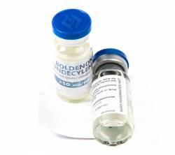 Boldenone Undecylenate 250 mg 10 ml