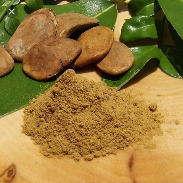 Akuamma nitida powder