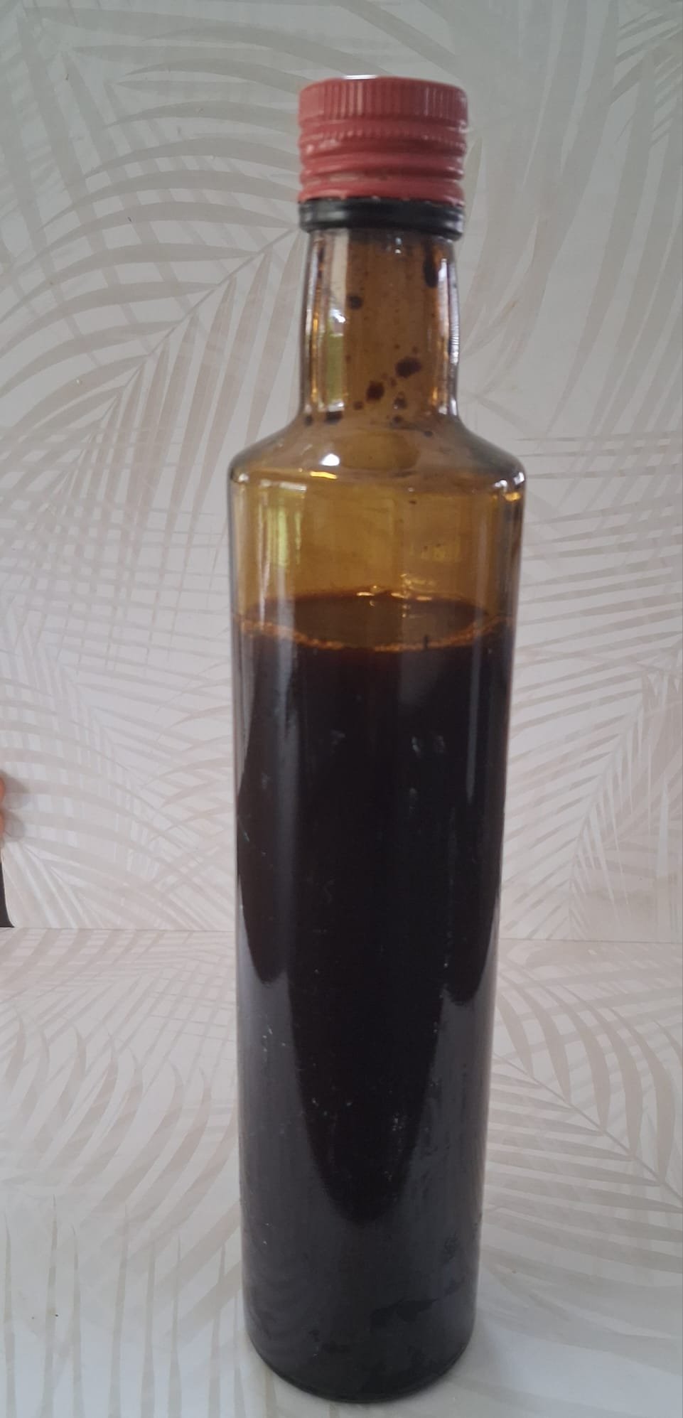 Ayahausca (caapi vine)