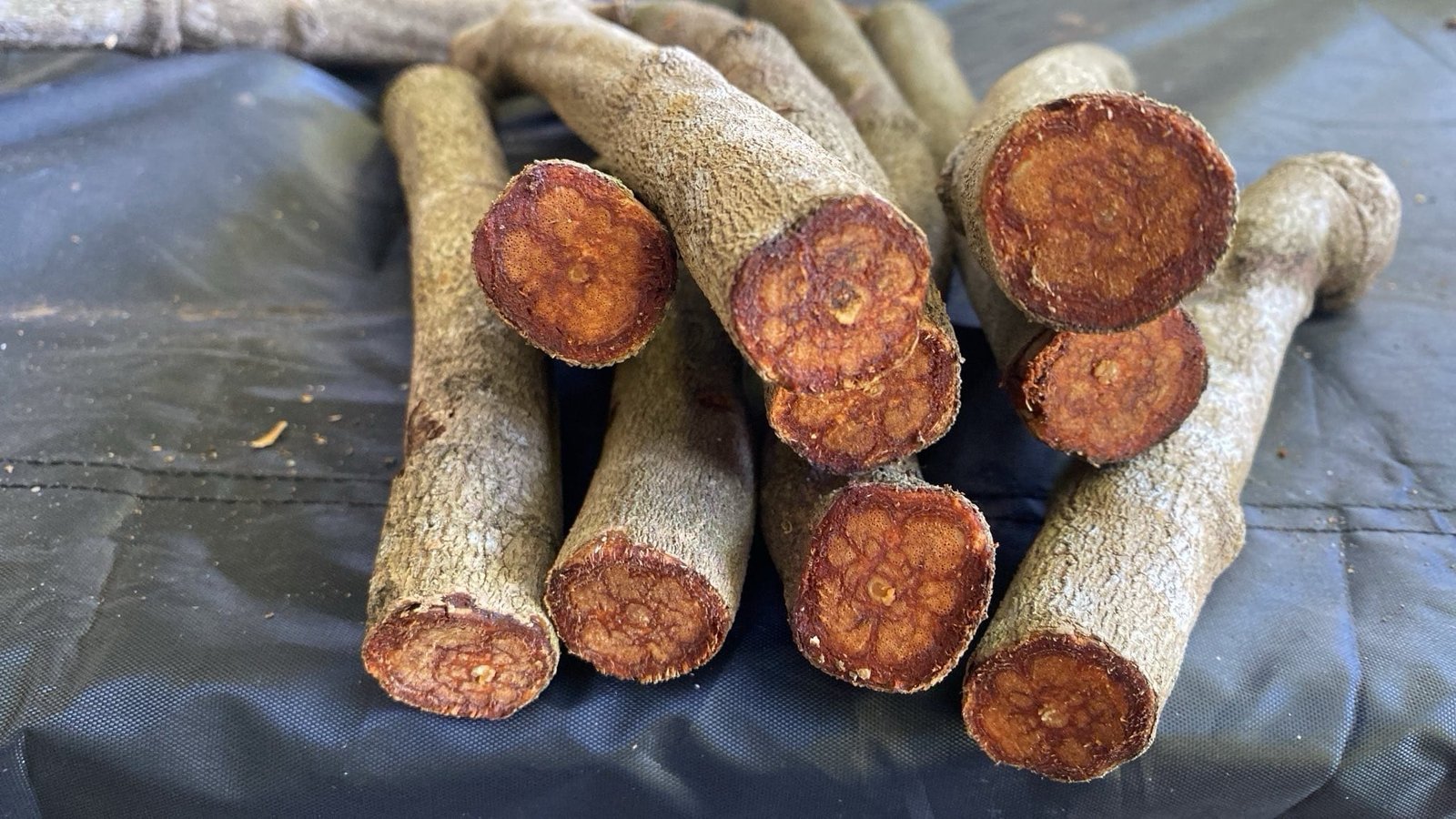 Acacia root bark &leaves